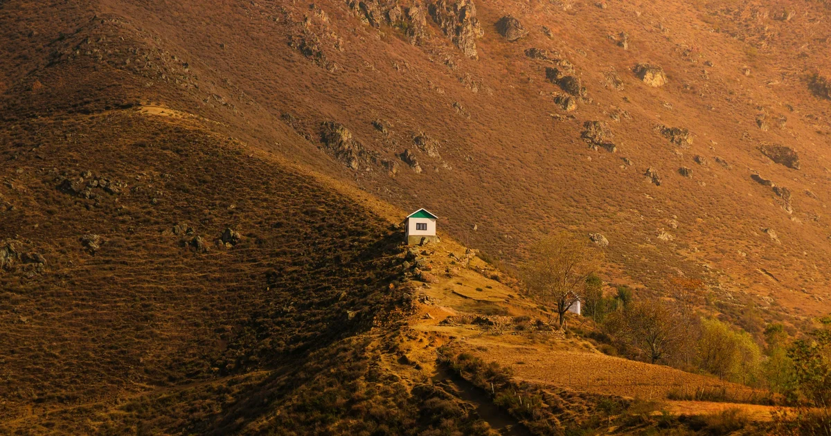 Dağ eteklerinde tiny house, çam ormanları arasında Dağ eteklerinde tiny house, çam ormanları arasında